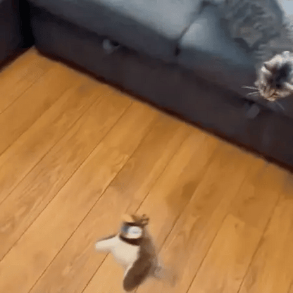 JOYBIRD™- Convierte su Aburrimiento en Pura Diversión