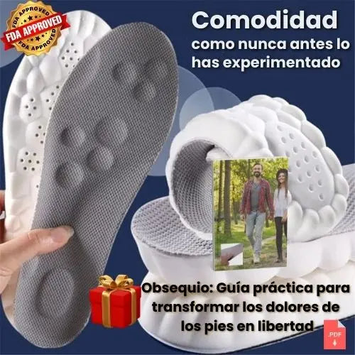 Plantillas 4D Cloud Technology™
